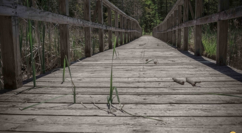 Landscape photo-wooden bridge