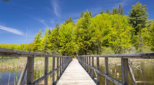 Wooden-bridge-Awenda-National Park