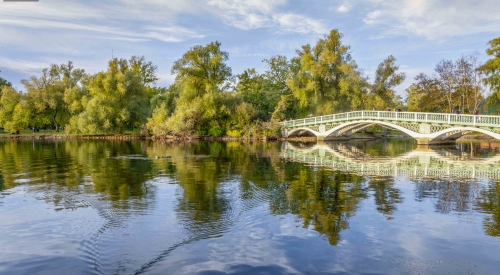 Bridge-and-Water-Stream