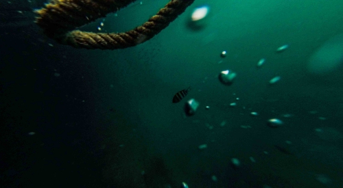 Underwater-Rope