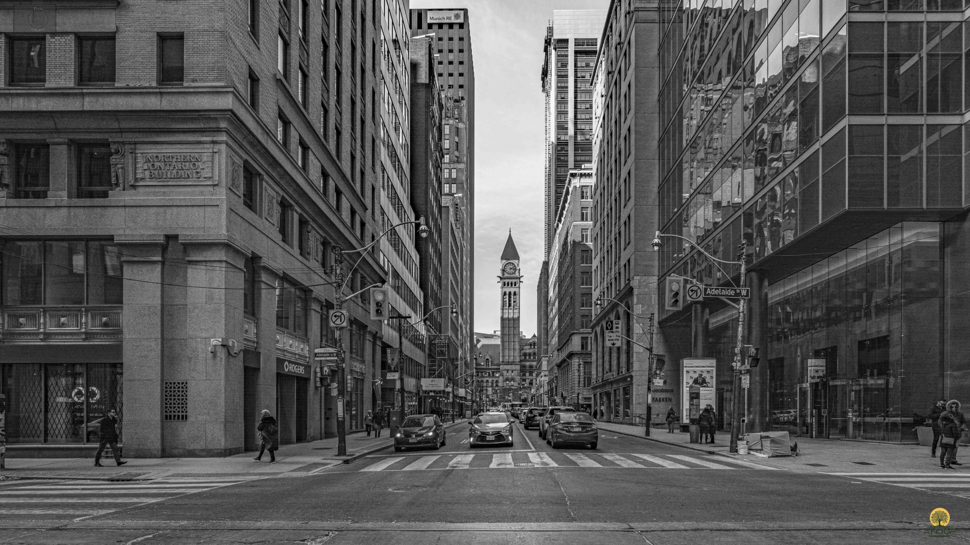 Old-Town-Hall-Downtown-Toronto