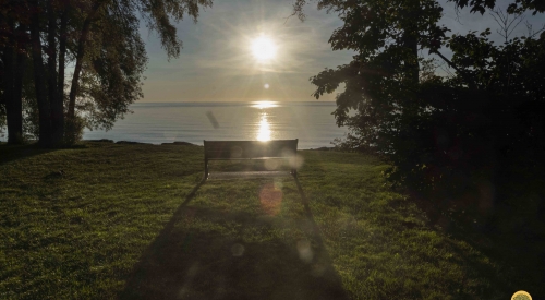 Park-Bench-Witnessing-Sunrise