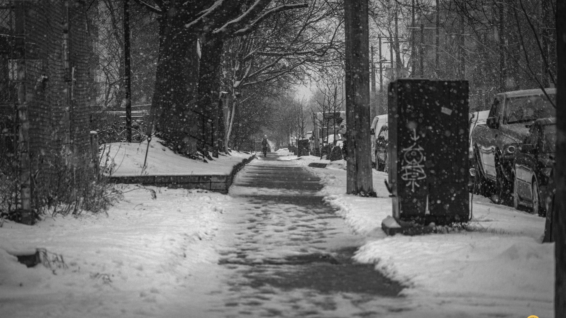 Snowfall-in-Canada