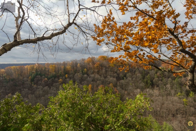 Fall-Colours