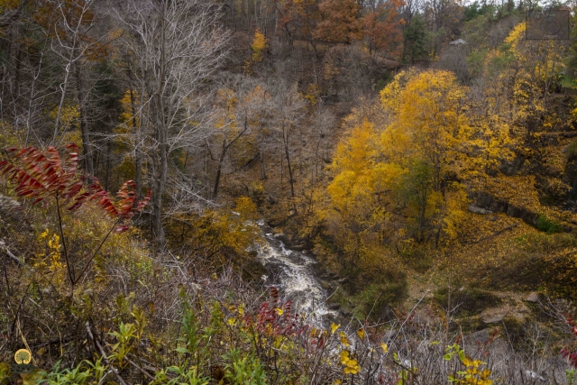 Stream-with-Fall-Colours