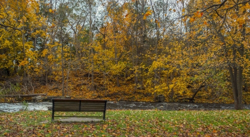 Park-Bench-Overlooking-Water-Stream