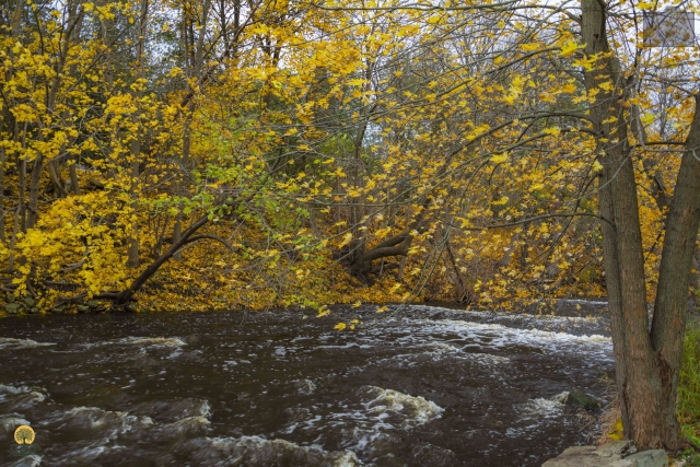 Webster-water-stream