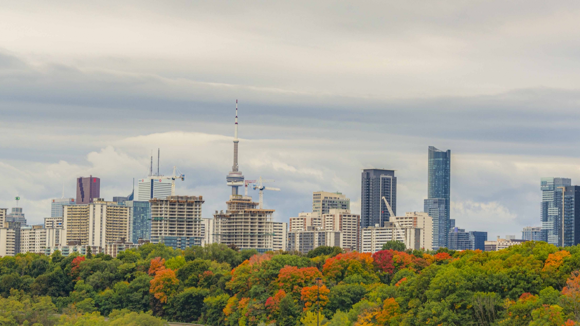 10 Stunning FALL PHOTOS around East York, Ontario – Pixels Unedited