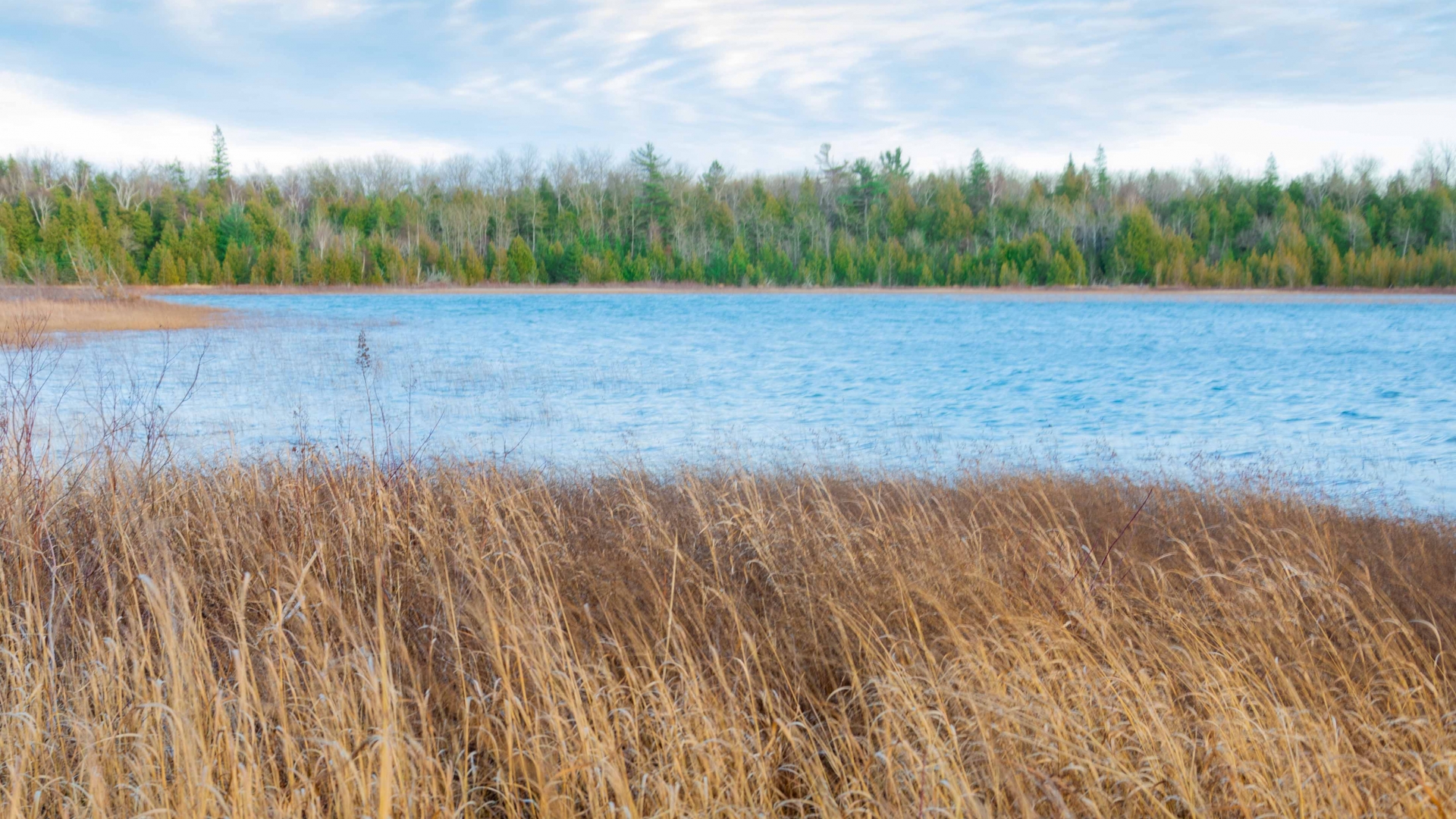 grasslands-Bruce-trail